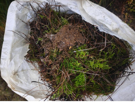 哪里挖土养花好