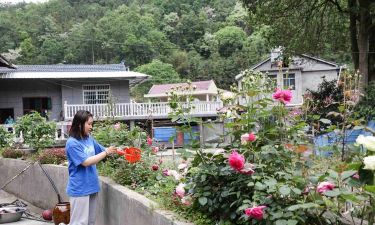 家庭养花用生根粉