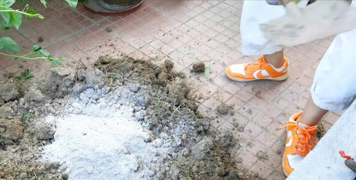 家庭养花用生根粉