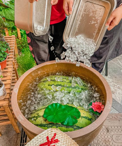 家庭养花用生根粉