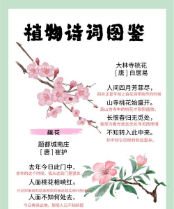 古人养花植树的诗句