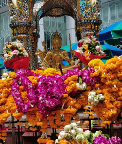 泰国曼谷养花风俗