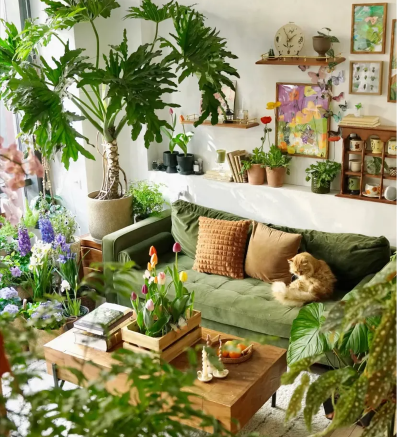 loft公寓怎么养花 loft公寓怎么养花