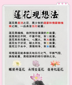 修行人讲养花 修行人讲养花