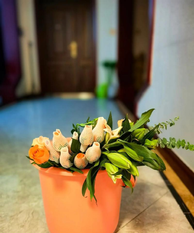 家庭养花用生根粉