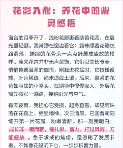 家庭养花用生根粉