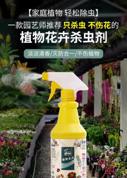 养花打哪些农药