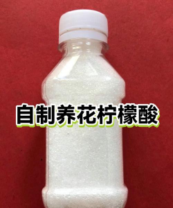 家庭养花用生根粉