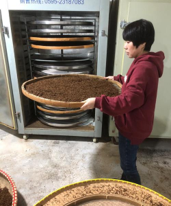 中药发酵养花技术