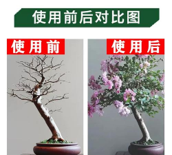 家庭养花用生根粉