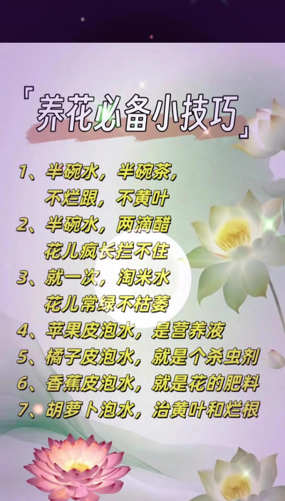 家庭养花用生根粉