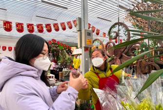 家庭养花用生根粉