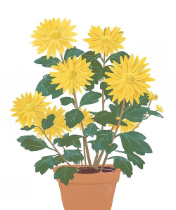 卡通养花盆黄色