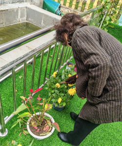 家庭养花用生根粉