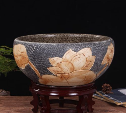 绯花玉怎么养，掌握关键技巧，轻松养出好状态