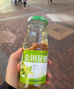 绯花玉怎么养，掌握关键技巧，轻松养出好状态