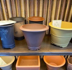 海棠花的栽培，选对品种很关键，掌握技巧不费力