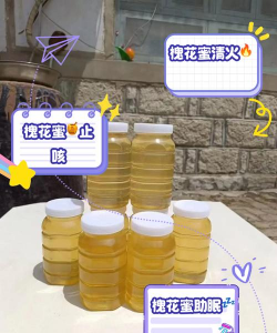 海棠花的栽培，选对品种很关键，掌握技巧不费力