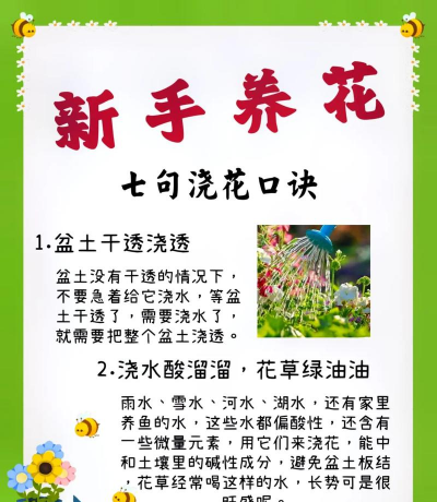 绯花玉怎么养，掌握关键技巧，轻松养出好状态