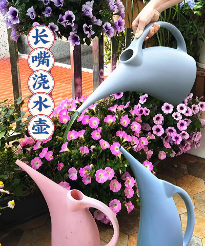 兰草花怎么养，掌握关键技巧，轻松培育美丽花朵