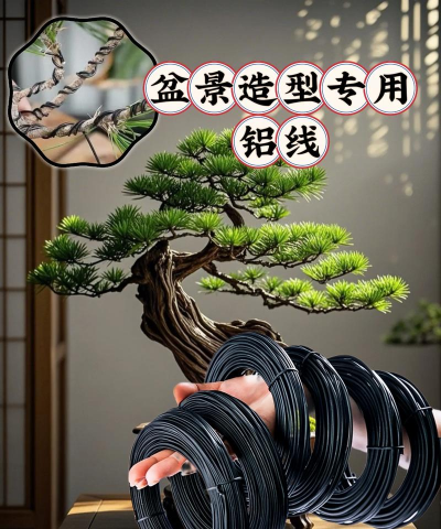 芍药花怎么养，掌握关键要点，花开更鲜艳