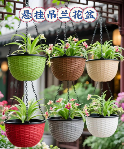 芍药花怎么养，掌握关键要点，花开更鲜艳