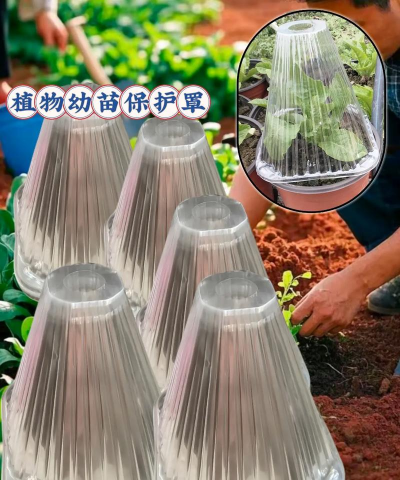 芍药花怎么养，掌握关键要点，花开更鲜艳