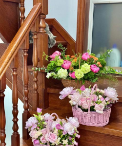 柿树虫病防治，识别常见虫害，掌握有效方法