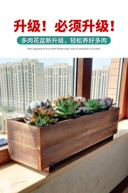 柿树虫病防治，识别常见虫害，掌握有效方法