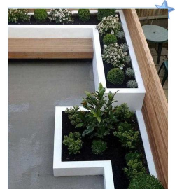 柿树虫病防治，识别常见虫害，掌握有效方法