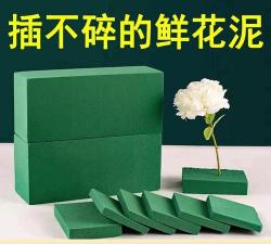 柿树虫病防治，识别常见虫害，掌握有效方法