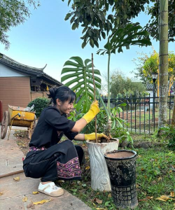 玫瑰花怎么养才不会枯萎，掌握浇水施肥技巧，轻松延长花期