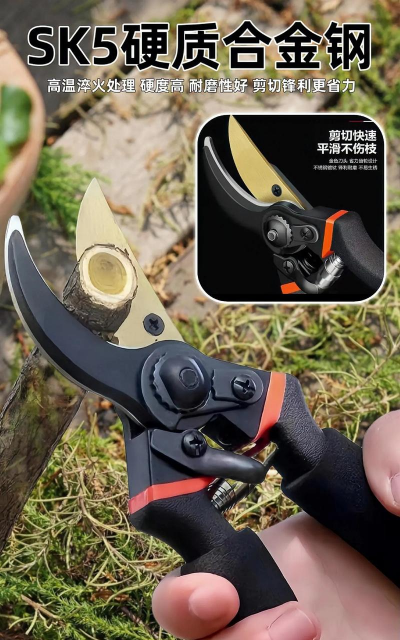 玫瑰花怎么养才不会枯萎，掌握浇水施肥技巧，轻松延长花期