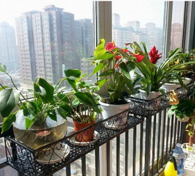 栀子花怎么养，掌握浇水技巧，避免黄叶掉苞