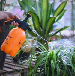 栀子花怎么养，掌握浇水技巧，避免黄叶掉苞