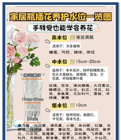 栀子花怎么养，掌握浇水技巧，避免黄叶掉苞