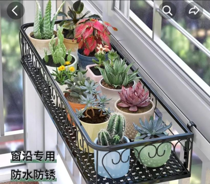 玫瑰花怎么养才不会枯萎，掌握浇水施肥技巧，轻松延长花期