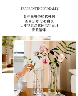 玫瑰花怎么养才不会枯萎，掌握浇水施肥技巧，轻松延长花期