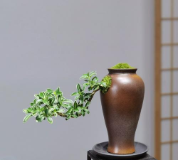 缺口花瓶养花造型