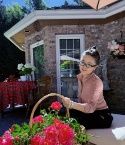 家庭养花用生根粉