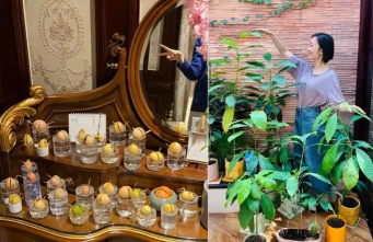 家庭养花用生根粉