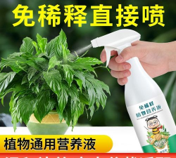 家庭养花用生根粉