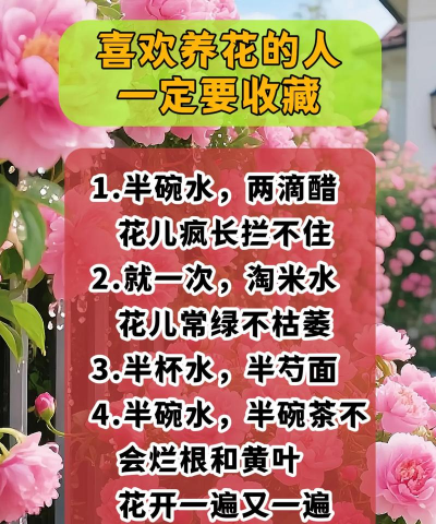 家庭养花用生根粉