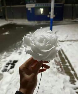 人造雪可以养花