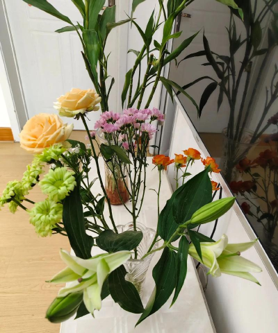 家庭养花用生根粉