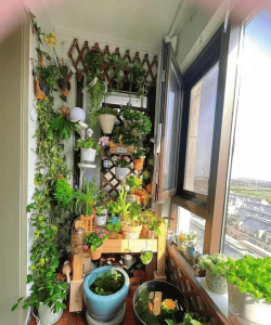 阳台养花空间太小