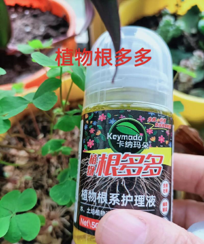家庭养花用生根粉