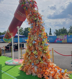 家庭养花用生根粉