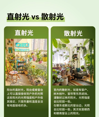 绿化景观设计，提升环境品质，创造宜人空间