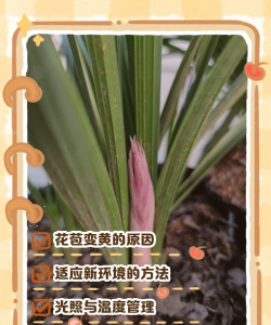 绿化景观设计，提升环境品质，创造宜人空间